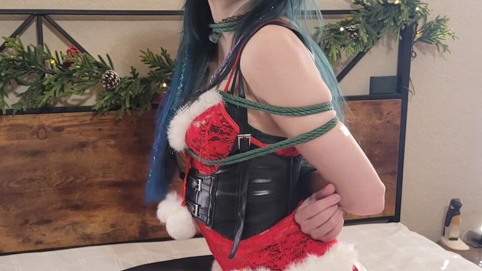Kitten, tied up in Christmas lingirie